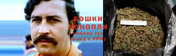 mdpv Дмитриев