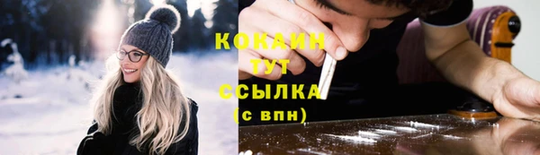 гидра Ельня