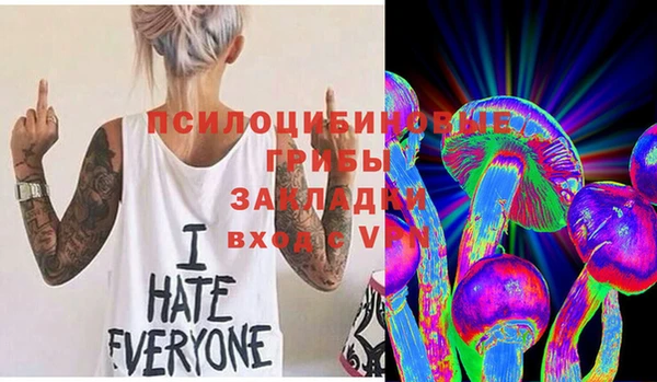 mdpv Дмитриев