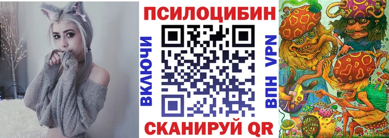 Купить  Кяхта  Псилоцибиновые грибы мицелий 